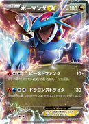 Image for Salamence EX - 254/XY-P (254/XY-P) (XY-P: XY Promos) - Pokemon Japan