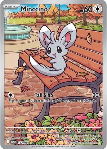 Minccino (152/086) [Scarlet & Violet: Black Bolt]