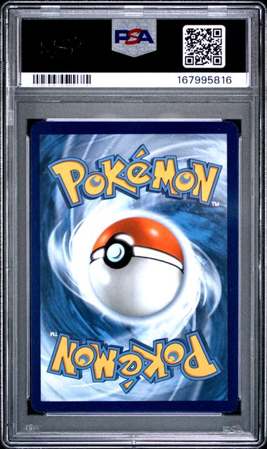 2026 POKEMON POR EN-PERFECT ORDER